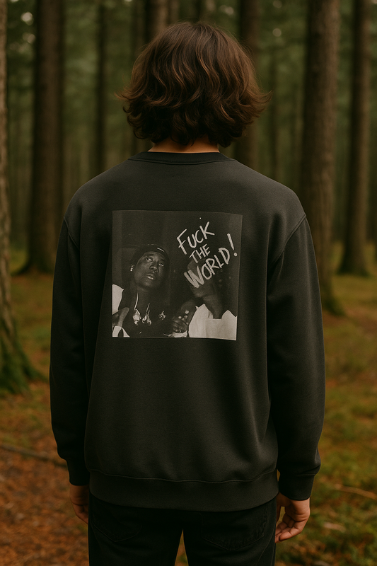 Unisex Premium Sweatshirt Fuck the world